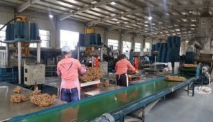 Yunnancasets 湛江市偉達(dá)機(jī)械實(shí)業(yè)有限公司 tsr natural rubber processing machinery TSR Natural Rubber Processing Machinery