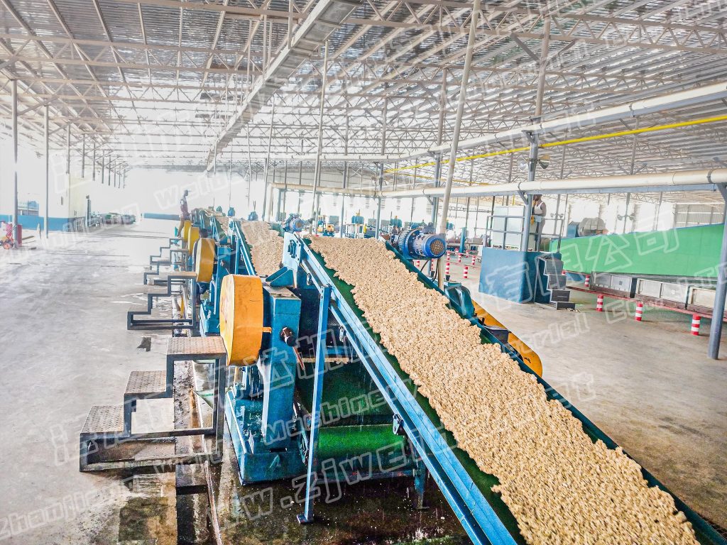 Smart 湛江市偉達(dá)機(jī)械實(shí)業(yè)有限公司 tsr natural rubber processing machinery TSR Natural Rubber Processing Machinery